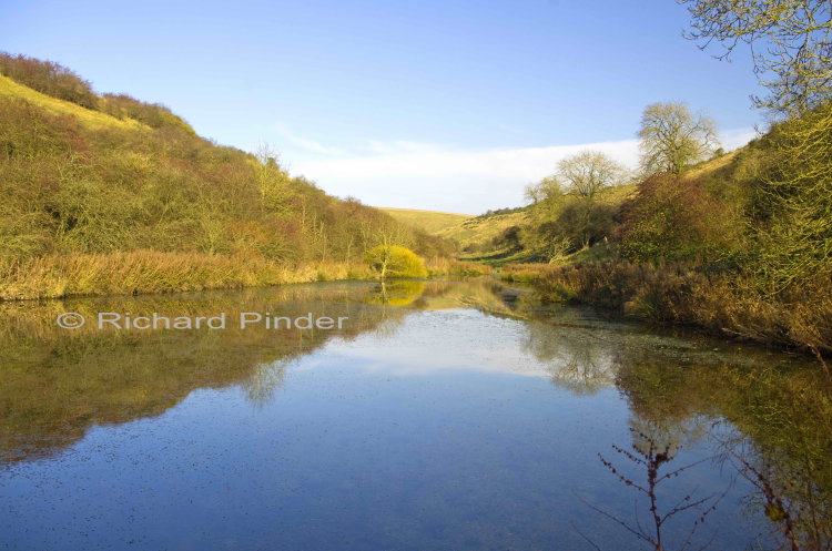 Millington Pasture Pond