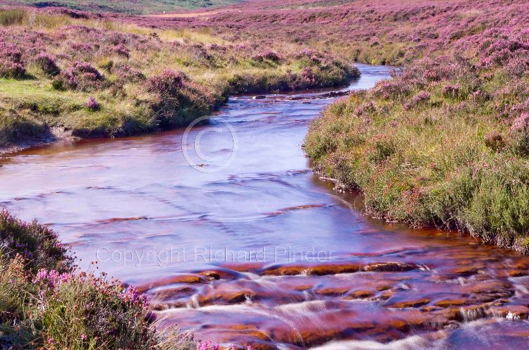 Wheeldale, North York Moors