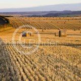 Early Morning Straw Bales