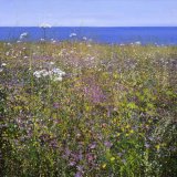 "Hogweed and Campion" by Paul Evans