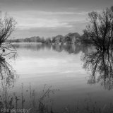 Reflections