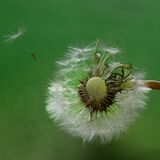 SIP-3245-Enhanced-NR-Edit