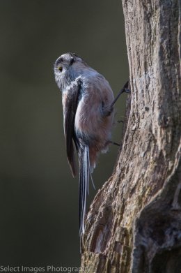 untitled-20115