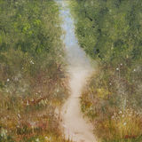 Forest Path