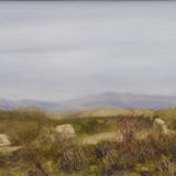 Bodmin Moor