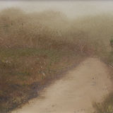 New Forest Path
