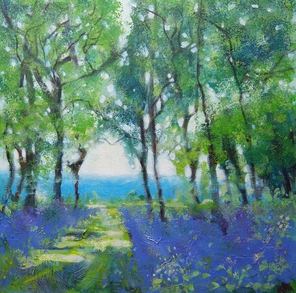 Felley Woods Bluebells