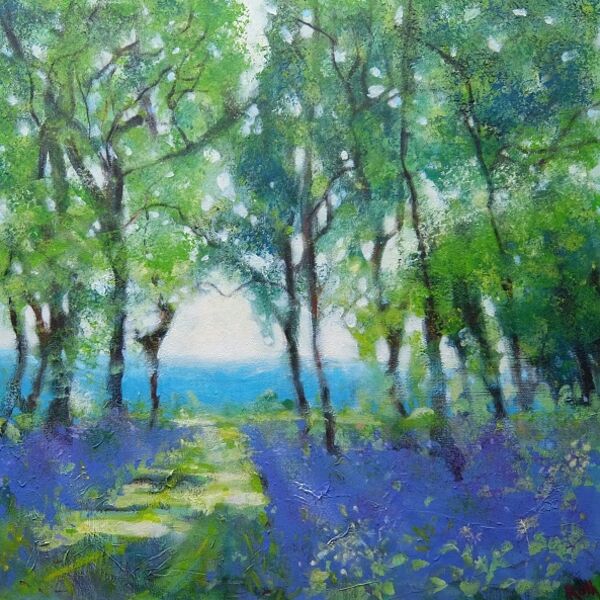 Felley Woods Bluebells