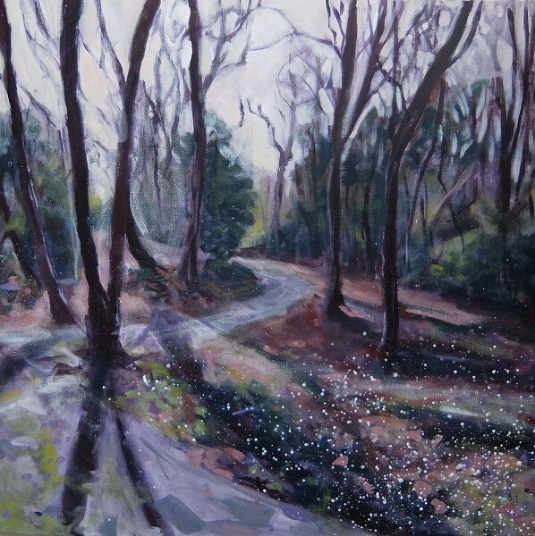 Snowdrop walk Hopton Hall