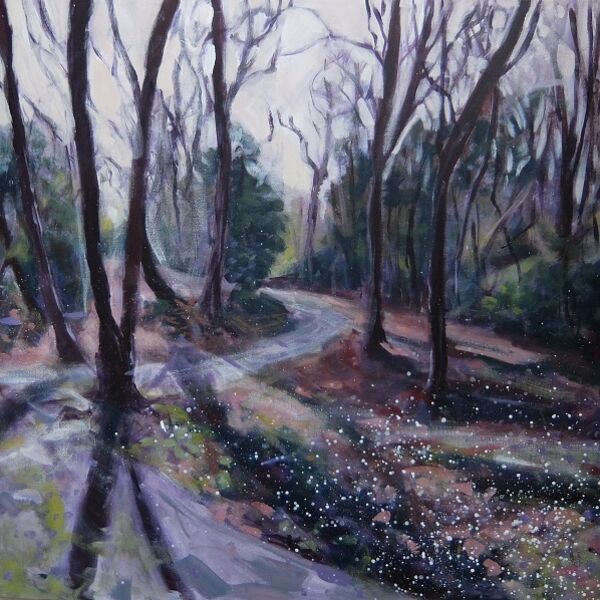 Snowdrop walk Hopton Hall