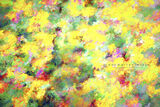 Summer Flowers - Aigues Mortes