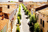 Street in Aigues Mortes Street in Aigues Morts