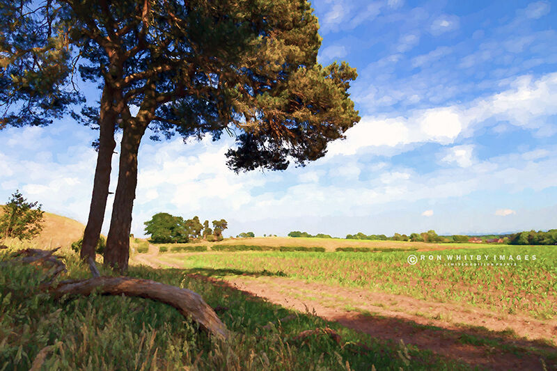 Cheshire Landscape no 1