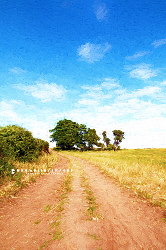 Cheshire Landscape no 2