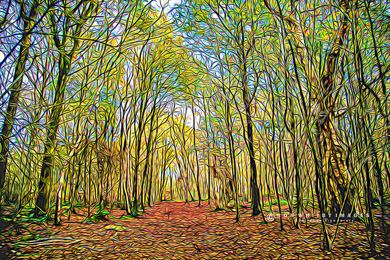 Brown Moss Woods