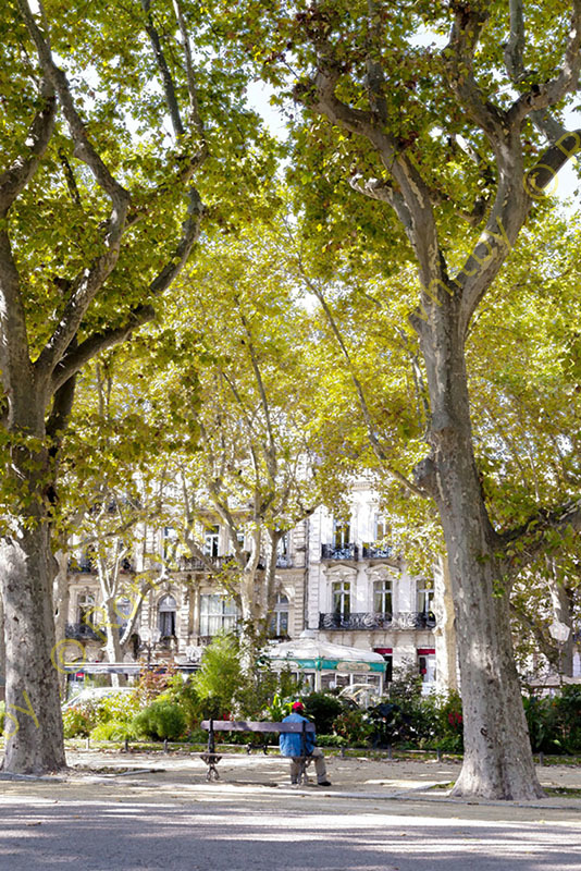Man Sitting on a Bench in Montpellier