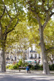 Man Sitting on a Bench in Montpellier