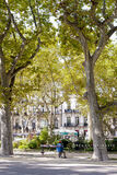 Man Sitting on a Bench in Montpellier
