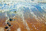 Beach at Arrieta no 10