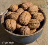 Walnuts In Bowl