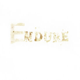 EAS(Y) does it: DETAIL: Endure