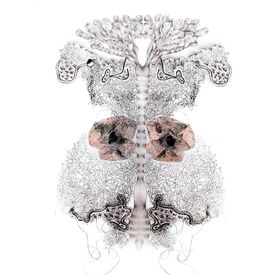 Uncovered Covers collagraph monoprint with tights, nets, hair by Sally Butcher Fine Art