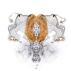 Uncovered Covers collagraph monoprint with tights, nets, hair by Sally Butcher Fine Art