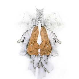 Uncovered Covers collagraph monoprint with tights, nets, hair by Sally Butcher Fine Art