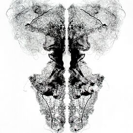 Uncovered Covers collagraph monoprint with tights, nets, hair by Sally Butcher Fine Art