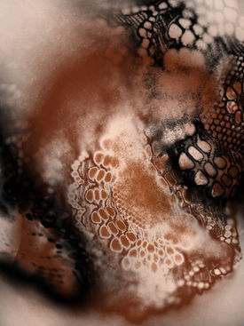 Tracing Lace VII