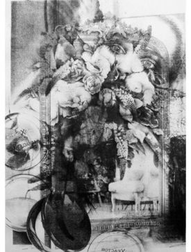 Who's The Fairest of Them All?