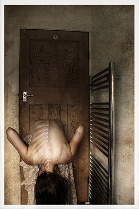 Radiate III photograph by Sally Butcher Fine Art