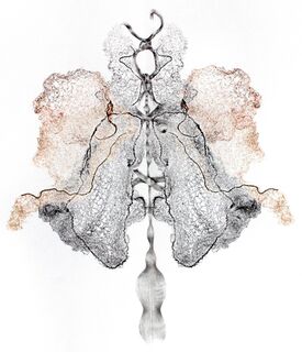 Uncovered Covers collagraph monoprint drawing with tights, nets, hair by Sally Butcher Fine Art