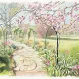 Portrait of West London garden. A5 sallybarton_GardenPortrait_watercolour_WestLondon_portraitcommission