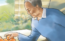 Sample storyboards for food producer