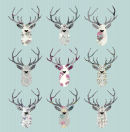 Animal 013