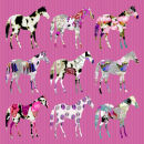 Animal 005