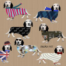 Animal026