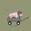 Animal029