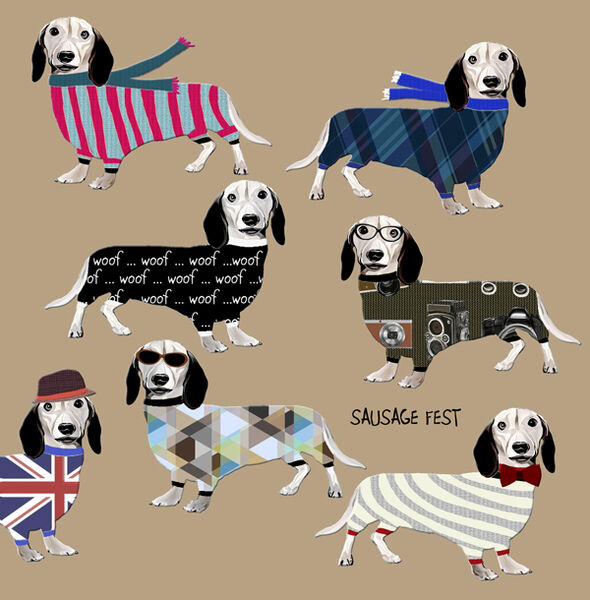 Animal026