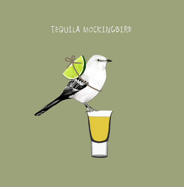 Animal 052