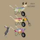 Birthday007