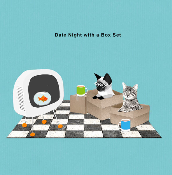 CAT003
