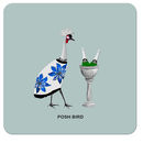 COA003 ... Posh Bird