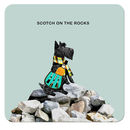 COA004 ... Scotch on the rocks