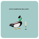COA010 ... Your Champagne Mallardy