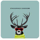 COA022 ... Staggeringly Handsome