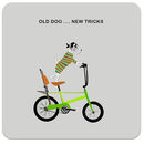 COA030 ... Old Dog ... New Tricks