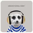 COA034 ... Unbiased Football Pundit
