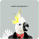 COA037 ... Carry on winging it